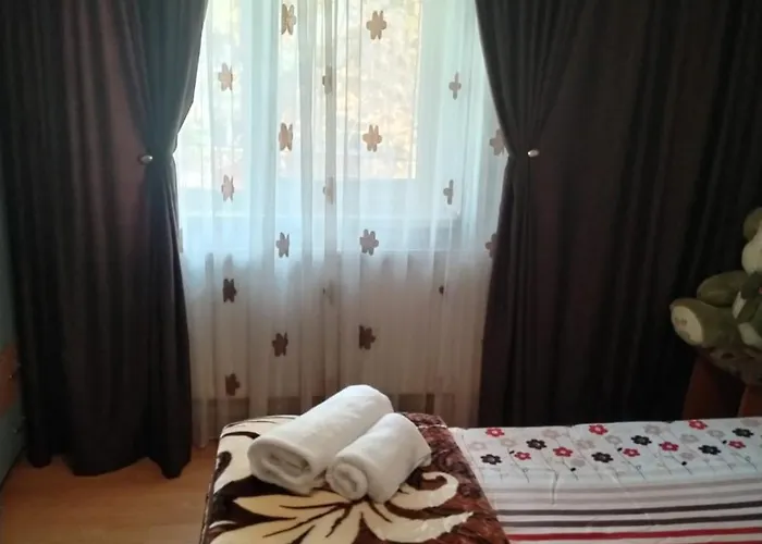 아파트 Garsoniera 크라이오바